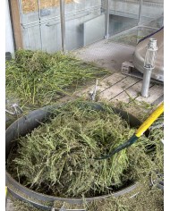 Huile essentielle bio THYM A THUJANOL