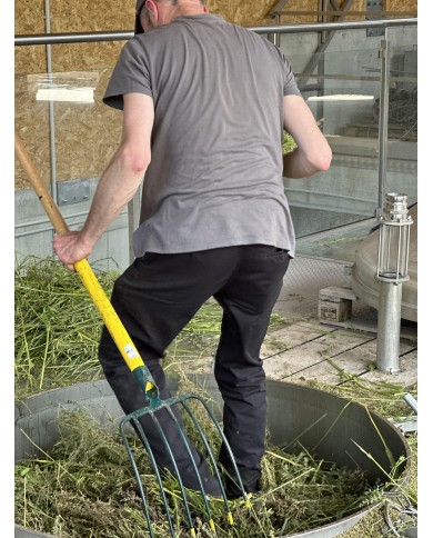 Eau florale bio THYM À LINALOL