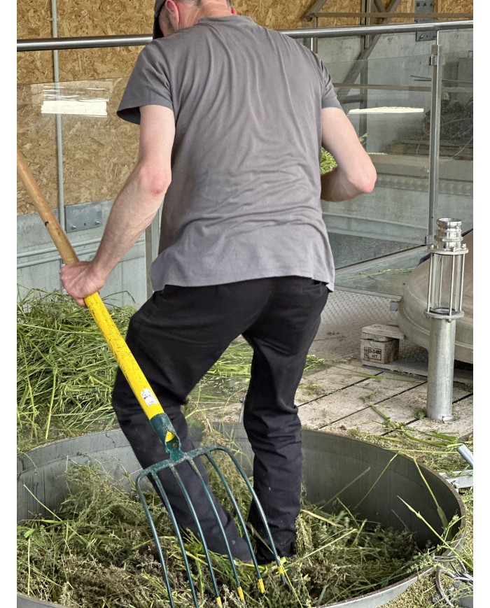 Eau florale bio THYM À LINALOL