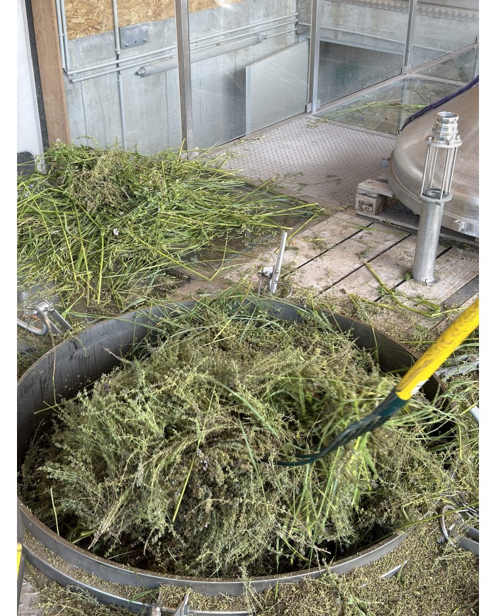 Eau florale bio THYM A THUJANOL