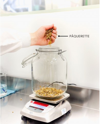 Macérât huileux bio PAQUERETTE