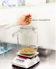 Macérât huileux bio PAQUERETTE