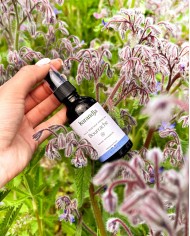 Huile végétale bio BOURRACHE Française