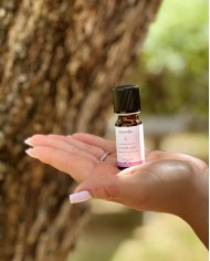 Huile essentielle bio LAVANDE ASPIC