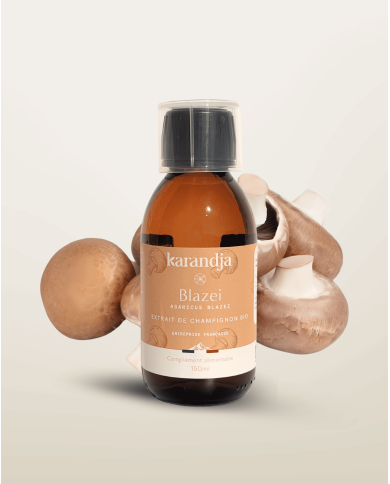 Extrait de Champignon Bio BLAZEI 150ml