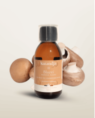 Extrait de Champignon Bio BLAZEI 150ml
