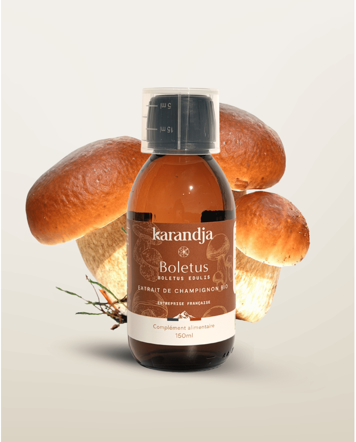 Extrait de Champignon Bio BOLETUS (Cèpes de Bordeaux français) 150ml