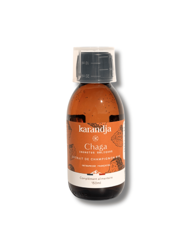 Extrait de champignon Bio CHAGA