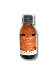 Extrait de champignon Bio CHAGA