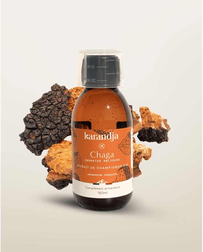 Extrait de Champignon Bio CHAGA 150ml
