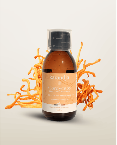 Extrait de Champignon Bio CORDYCEPS 150ml