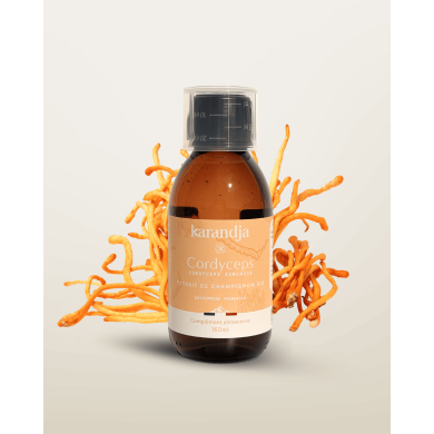 Extrait de Champignon Bio CORDYCEPS 150ml