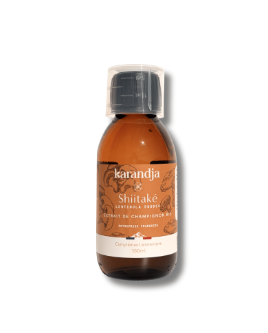 Extrait de champignon bio SHIITAKE