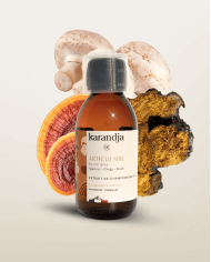 Extrait de Champignons Bio ARTICULAIRE 150ml