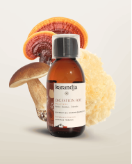 Extrait de Champignons Bio DIGESTION FOIE, Reishi - Boletus (Cèpe de Bordeaux) - Trémelle