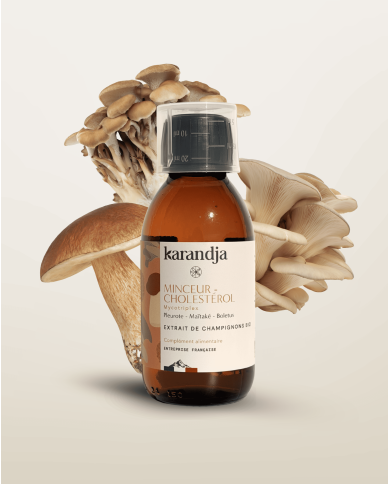 Extrait de champignons Bio Mycotriplex MINCEUR CHOLESTEROL