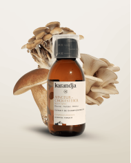 Extrait de champignons Bio Mycotriplex IMMUNITAIRE