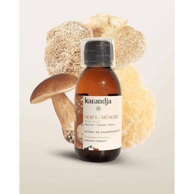 Extrait de Champignons Bio NERF - MÉMOIRE
Hericium - Trémelle - Boletus (Cèpe de Bordeaux)