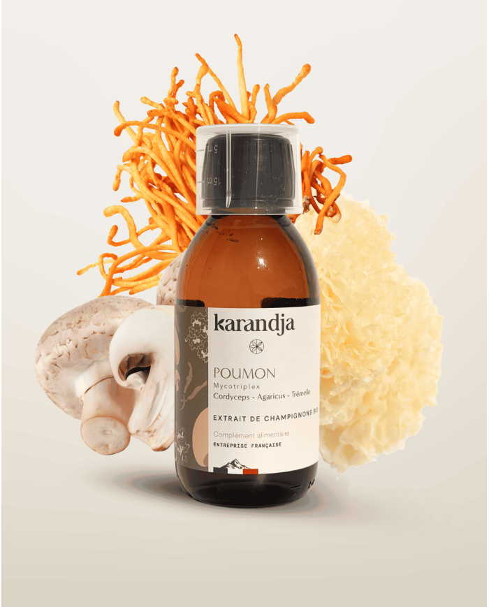 Extrait de Champignons Bio POUMON Cordyceps - Agaricus - Trémelle