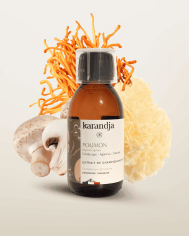 Extrait de Champignons Bio POUMON Cordyceps - Agaricus - Trémelle