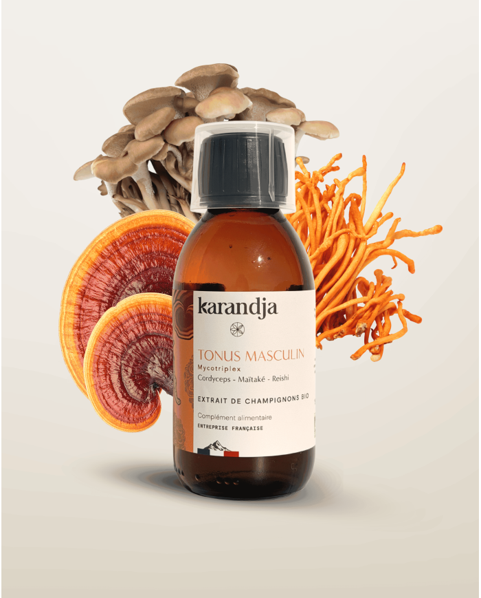 Extrait de Champignons Bio TONUS MASCULIN
Cordyceps - Maïtaké - Reishi