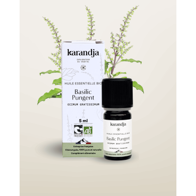 Huile essentielle Basilic Pungent