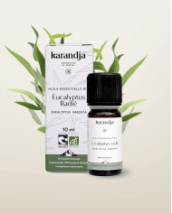 Huile essentielle EUCALYPTUS RADIE Bio chémotypée, 100% pure et naturelle, Karandja laboratoire.