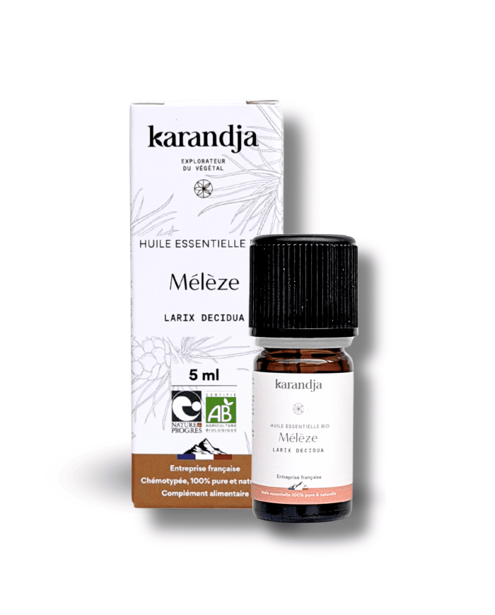 Huile essentielle bio MÉLÈZE