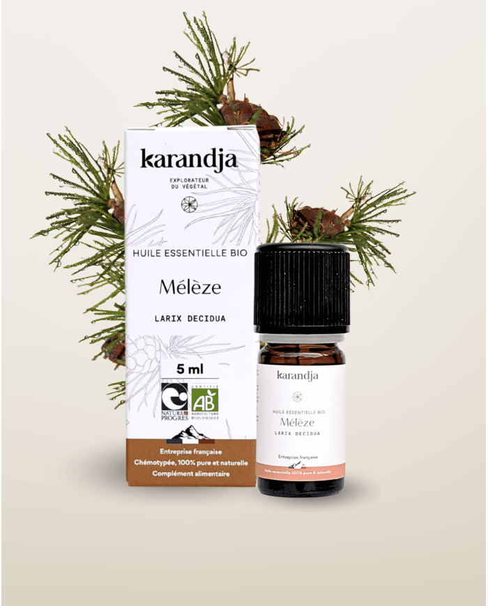Huile essentielle MELEZE Bio chémotypée, 100% pure et naturelle, Karandja laboratoire, origine France, filière locale.