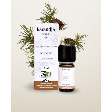 Huile essentielle MELEZE Bio chémotypée, 100% pure et naturelle, Karandja laboratoire, origine France, filière locale.