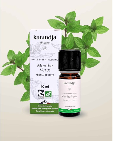 Huile essentielle bio MENTHE VERTE (menthe douce)