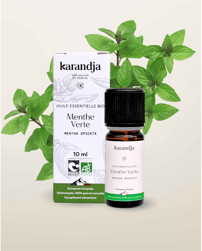 Huile essentielle bio MENTHE VERTE (menthe douce)