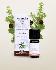 Huile essentielle PRUCHE Bio chémotypée, 100% pure et naturelle, Karandja laboratoire.