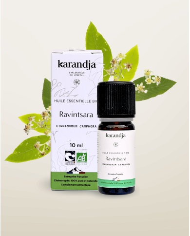 Huile essentielle RAVINTSARA Bio chémotypée, 100% pure et naturelle, Karandja laboratoire.