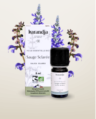 Huile essentielle SAUGE SCLAREE Bio chémotypée, 100% pure et naturelle, Karandja laboratoire, origine France - Vaucluse.