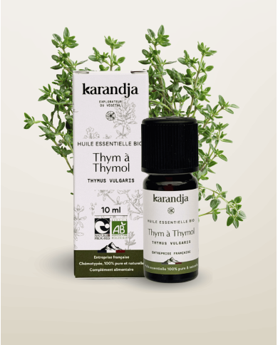 Huile essentielle THYM A THYMOL Bio chémotypée, 100% pure et naturelle, Karandja laboratoire.