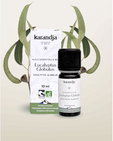 Huile essentielle EUCALYPTUS GLOBULUS  Bio chémotypée, 100% pure et naturelle, Karandja laboratoire.