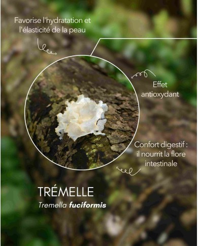Extrait de champignon bio TREMELLE