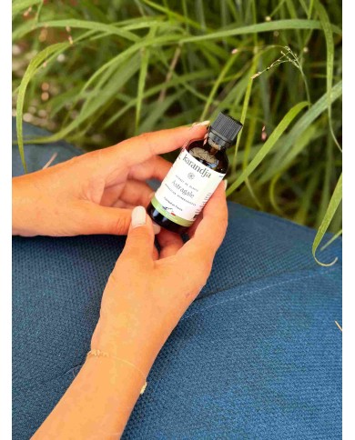 Extrait de plante Bio ASTRAGALE
