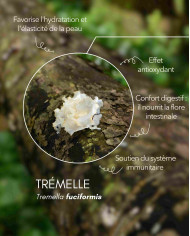 Extrait de champignon bio TREMELLE