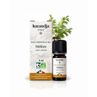 Huile essentielle MELEZE Bio chémotypée, 100% pure et naturelle, Karandja laboratoire, origine France, filière locale.