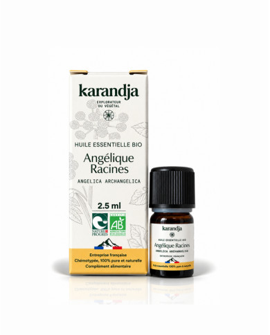 Huile essentielle bio ANGÉLIQUE RACINES