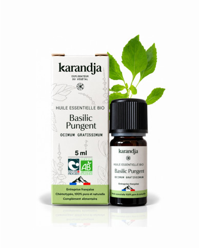 Huile essentielle Basilic Pungent