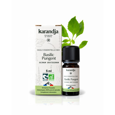 Huile essentielle Basilic Pungent
