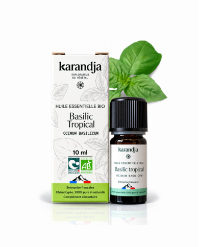 Huile essentielle Basilic Pungent