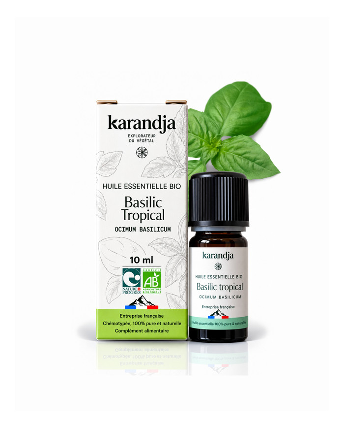 Huile essentielle Basilic Pungent