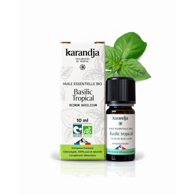 Huile essentielle Basilic Pungent