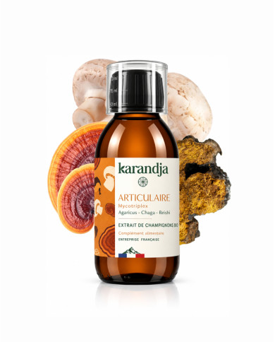 Extrait de Champignons Bio ARTICULAIRE 150ml