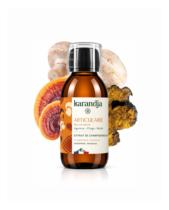 Extrait de Champignons Bio ARTICULAIRE 150ml