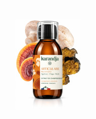 Extrait de Champignons Bio ARTICULAIRE 150ml